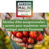 Récoltes d'été exceptionnelles : 3 secrets pour maximiser votre potager jusqu'à l'automne