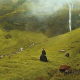 Caterina Manfrini "Sette volte bosco"