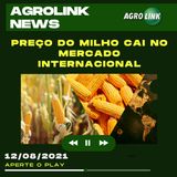 Podcast: Peste suína africana deixa produtores brasileiros em alerta