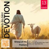 MGD: Sheep of His Pasture