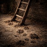 Cracked hooves on the ladder