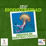 SOS Biodiversidad_Las medusas en nuestras costas