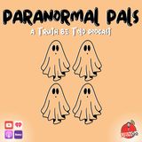 Paranormal Pals - Episode 4 - 'Near Death Experiences'