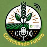 El INIA de un vistazo