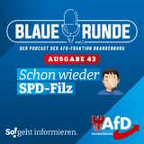 Schon wieder SPD-Filz | Die Blaue Runde, Ausgabe 43/23 vom 03. Mai 2023