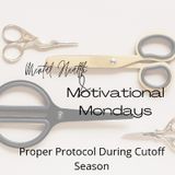 Are You Following Proper Protocol For Cut Off Season?