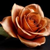 ✨ Pulizia con il vento pranico e rimozione della matrix della paura