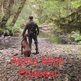 Empire Collapse Survival - Silver Meat Preservation Low Tech Solutions