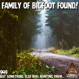 Family of Bigfoot Found in Oregon: A Paranormal Investigator’s True Encounter