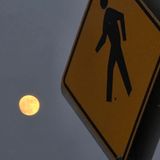 capitulo 4 que hubiera sido si tales