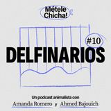 Métele chicha - Delfinarios