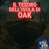 S04E08 - Il tesoro dell'isola di Oak