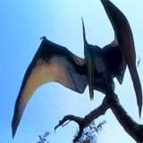 Extinct or just waiting..