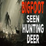 Witness Sees Bigfoot Hunting Deer