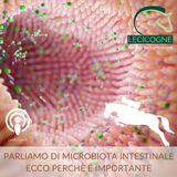 Il microbiota, l'organo invisibile