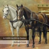 A Carruagem do Destino: Meditação e Conexão com o Arcano