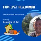 Catch up at the allotment and garden