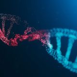 New research further translates the language of the genome