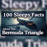 3 Bermuda Triangle Mysteries That Still Defy Explanation | Sleep Story