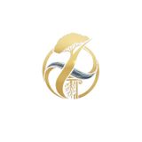 Episodio 2 - Un Ordine utile