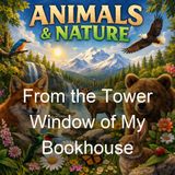 From the Tower Window of My Bookhouse - Olive Beaupre Miller Various - Part 2