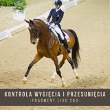 Kontrola wygięcia i przesunięcia - fragment live 203