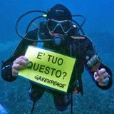#caserta L'Europa dice: "BASTA piatti ecc... di plastica!"