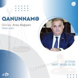 "Qanunnamə" - Arzu Nağıyev #48