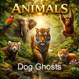 Dog Ghosts - Elliott O'Donnell