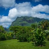 Tra microbi e carbonio una relazione più complicata del previsto