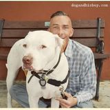 Bernard Lima-Chavez, Deaf Dog Parent, Trainer, And Advocate For Deaf Dogs
