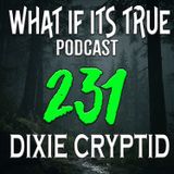 Archive 231 The Church Factor