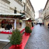 Natale a Vicenza, iniziative al via il 29 novembre con un videomapping “palladiano” in piazza dei Signori