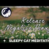 Let Go Of Negative Thoughts (Guided Meditation) - Sleepy Cat Meditations
