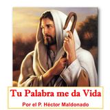 HOY Jueves 5 de enero 2023. Liturgia de la Palabra y reflexión P. Héctor M