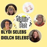 Blydi Selebs / Diolch Selebs