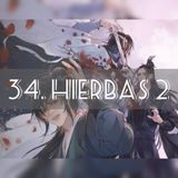 AUDIOLIBRO Mo Dao Zu Shi • El Gran Maestro de la Cultivación Demoníaca - 34. Hierbas 2