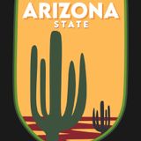 Local Expertise The Benefits of Hiring an Arizona App Development Company