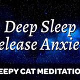 Soothing Deep Sleep Meditation - Release Anxiety_ Negativity and Stress (Sleepy Cat Meditations)