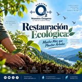 NUESTRO OXÍGEN Restauración ecológica, mucho mas que plantar árboles
