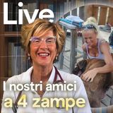 I nostri amici a 4 zampe