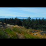 Meadows trail Loop