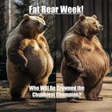 Fat Bear Week! Who Will Be Crowned the Chubbiest Champion?