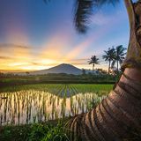 Episode 1584 - Jarvis Kingston NFL Playoffs Wild Card Bills Jaguars 49ers Eagles Chargers Patriots Real Madrid Barcelona Iran Ice Gospel NBA