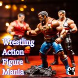 Wrestling Figures A Collector's Passion