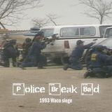 Gun Control Mass Murder: The 25th Anniversary of the Waco Stage +