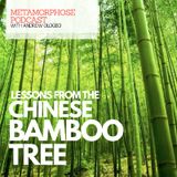 "LESSONS FROM THE CHINESE BAMBOO TREE"