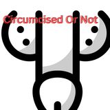 Circumcised Or Not