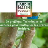Le greffage: Techniques et astuces pour multiplier les arbres fruitiers.