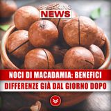 Noci Di Macadamia, Benefici: Ecco Perché Dovresti Mangiarne Almeno Una Al Giorno!
